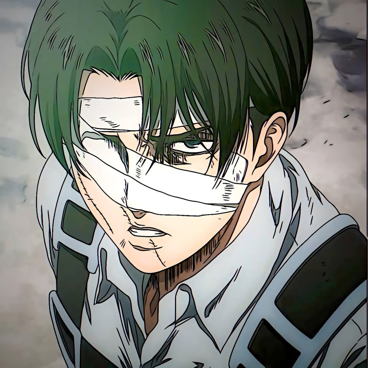 Is Levi Ackerman Stronger Than Mikasa Ackerman in Combat?